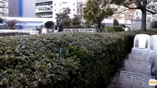 DNW-133,DNW-133 极上堕落美女连续潮吹昇天